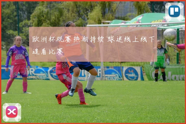 欧洲杯观赛热潮持续 球迷线上线下追看比赛