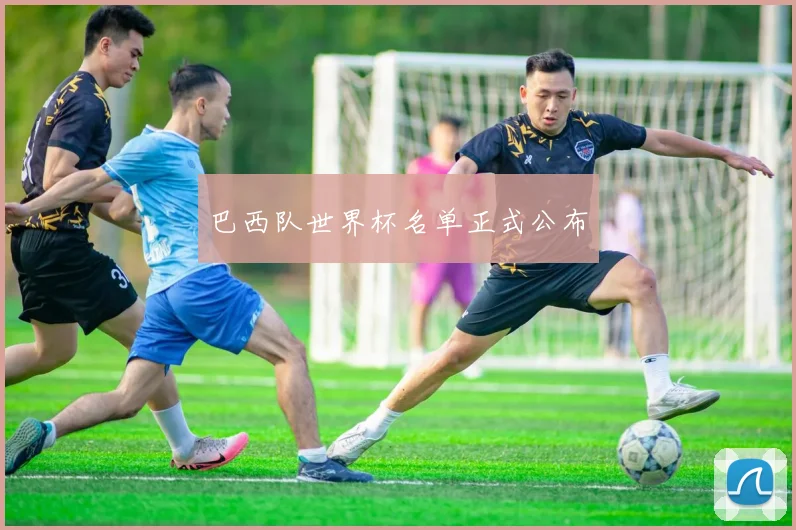 巴西队世界杯名单正式公布