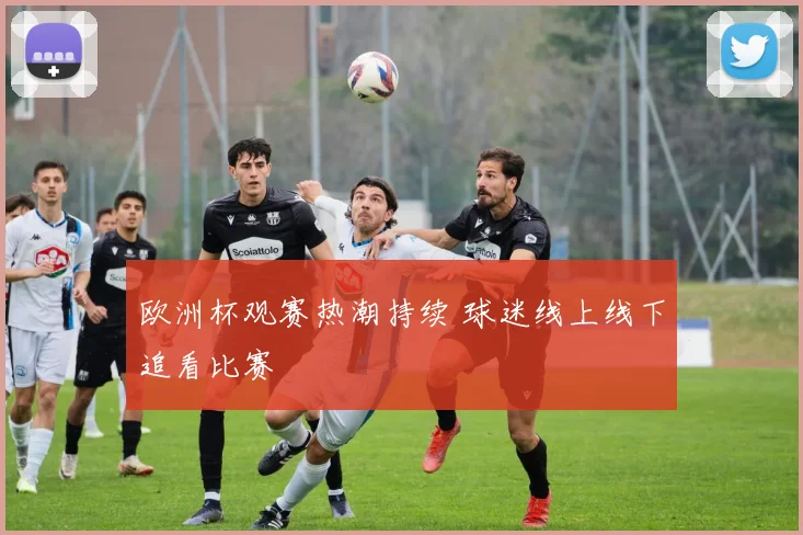 欧洲杯观赛热潮持续 球迷线上线下追看比赛